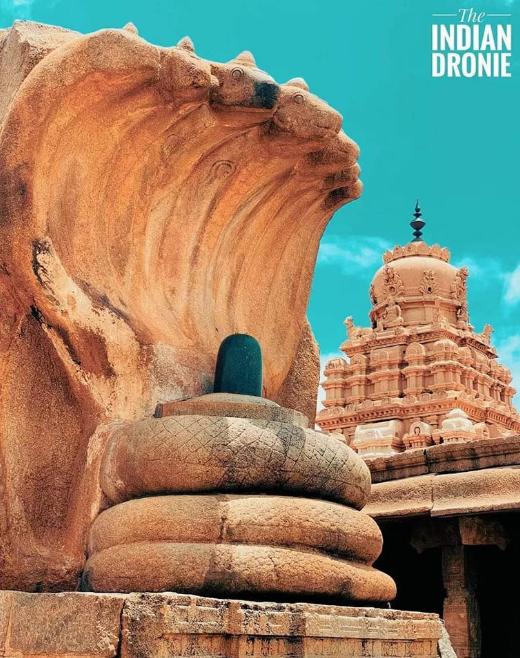 Naglinga of Veerabhadra Temple-Lepakshi-Andhra Pradesh-Stumbit Heritage